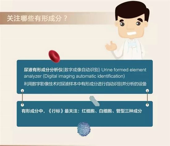 尿液分析数据看点